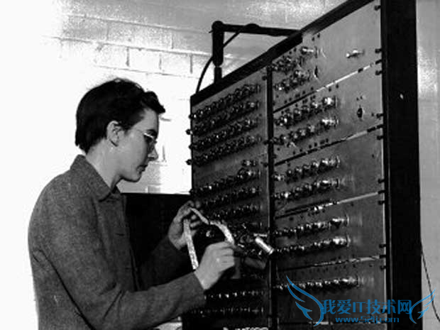 编程语言 女程序员 汇编语言