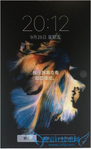 Live Photo和普通照片怎么区分?Live Photo在照片浏览时有什么提示?