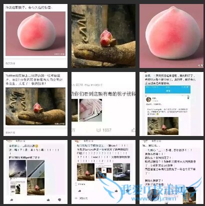 QQ空间有毒的桃子什么意思 看到这个桃子就转吧
