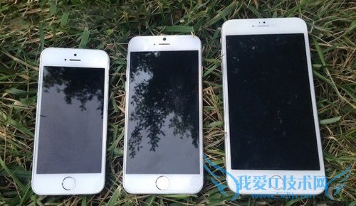iPhone6мɫiPhone6ĸɫã