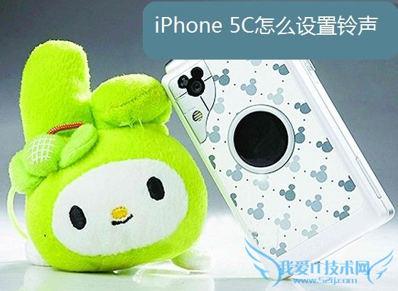 iPhone 5Cô