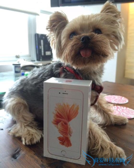 iPhone 6Sֶܷ٣iPhone 6Sܷ