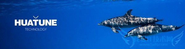 华豚科技公司