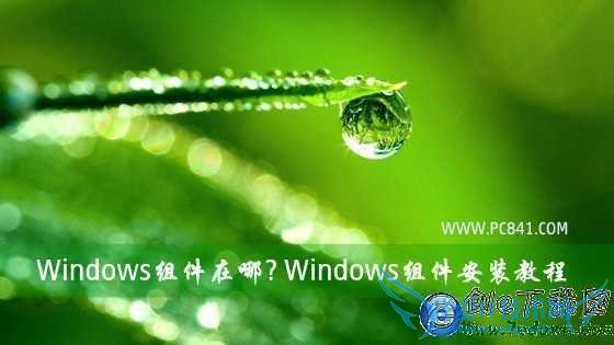 Windows? Windowsװ̳