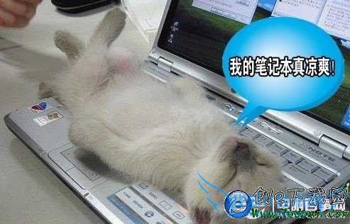 ʼǱɢȲô ʼǱɢȲõԭ취