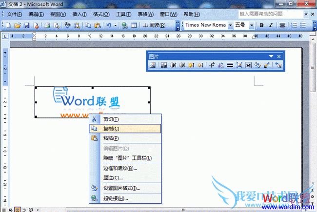 Word2003ĵͼƬ