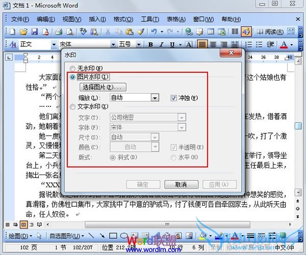可以添加文字或者图片水印