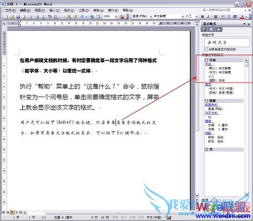 Word2003文档某处字体的格式