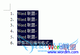 带有项目编号格式