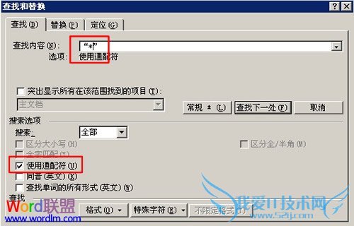 勾选“使用通配符”,在“查找内容”框中填入“*”