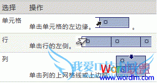 word2007设置表格格式完整攻略