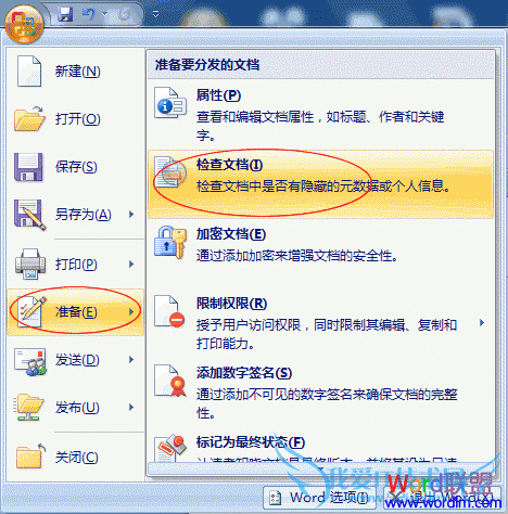 Office Word2007ĵܣɾļеĸʽ
