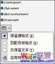 Word2003ȷʽѡ