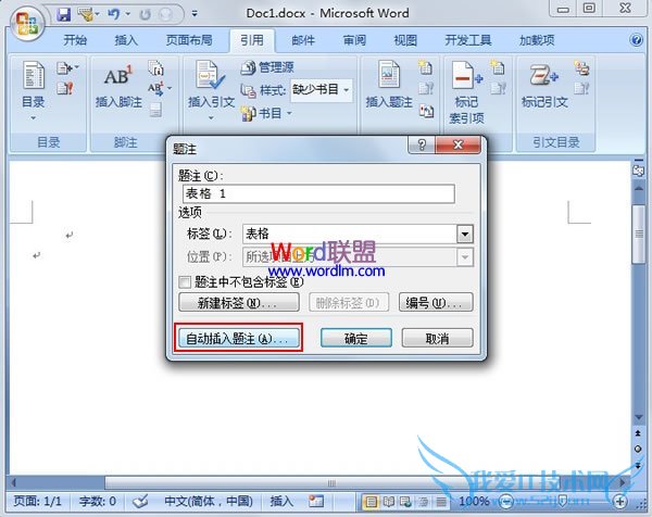 设置好题注名称后单击自动插入题注按钮