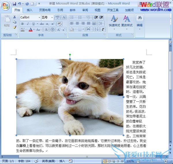 选中文档中图片