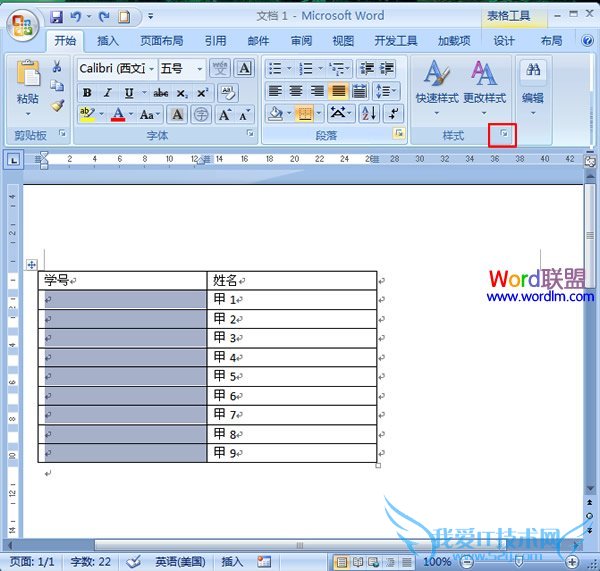 单击“样式对话框启动器”按钮