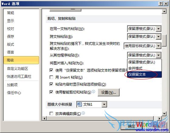 设置仅保留文本