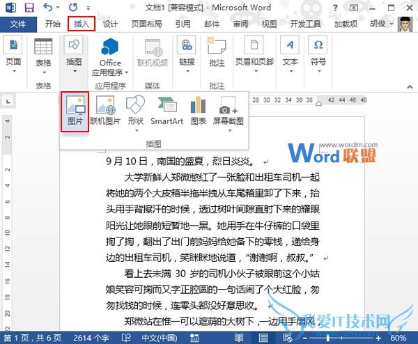 Word2013ΪȫͼĻŹ