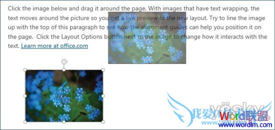 老版Word不支持实时布局