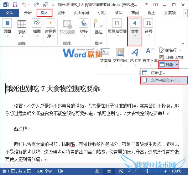 插入文件中的文字