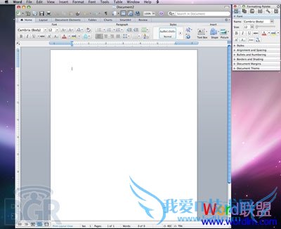 Office 2011 中 Word 界面