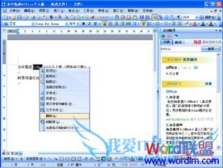 мOffice 2009 SP1˰淢