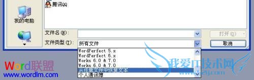 칫ʱֵĶWord򲻿޷ô죿