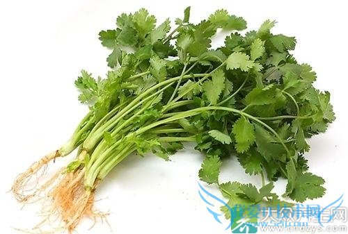 ѳԵľŴ߲ˡ!ȴ֪(3)