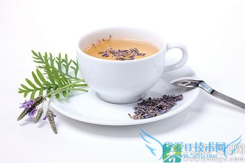 ̵ ʺ϶·ݺȵĻݲ(5)