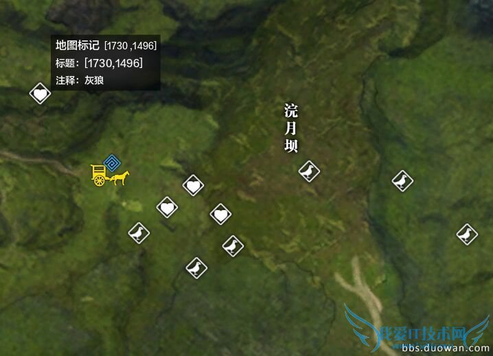 云滇灰狼.jpg 云滇灰狼.jpg