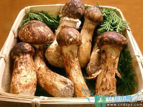 㵺ԭӵըΨһɴֲ(2)