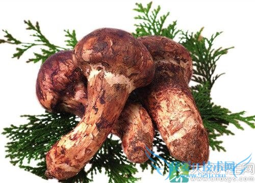 㵺ԭӵըΨһɴֲ(1)