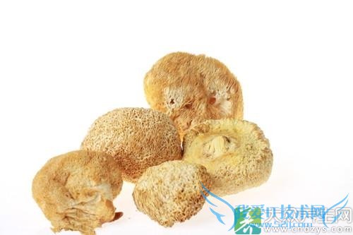 ҩʳʳƶ֢ȫΪͼղأ(2)