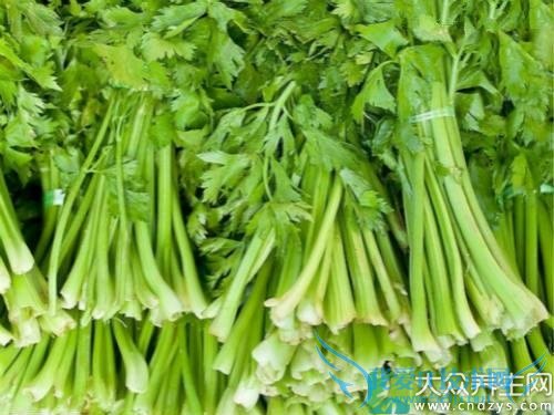 ˯ǰʳڰ񷢲ֻһ䣡(4)