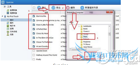 Synciosƻô Synciosƻʹý̳