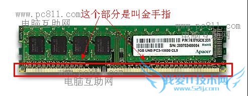 什么是金手指 三联