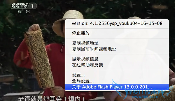Macβ鿴 Flash Playerİ汾 