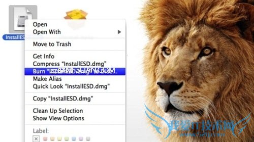 将Mac App Store的Lion刻到 DVD上 三联