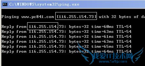 pingַɻȡIPַ