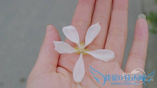 超简单滤镜处理 打造淡雅忧伤系好照片 三联教程