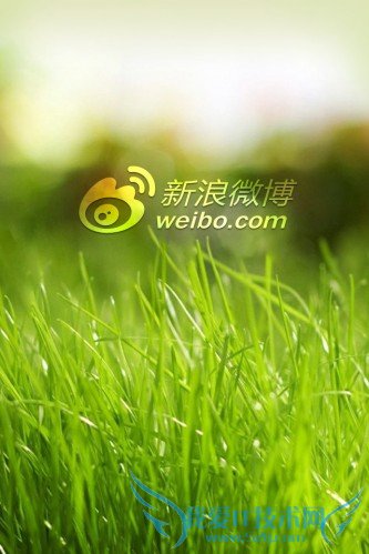 新浪微博短链分析是什么? 三联