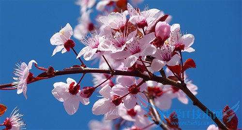 Ѹ壡10ްȨƵĴͼعվ