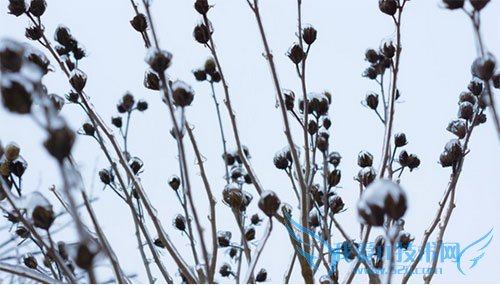 Ѹ壡10ްȨƵĴͼعվ