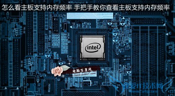 ô֧ڴƵ ְֽ鿴֧ڴƵ