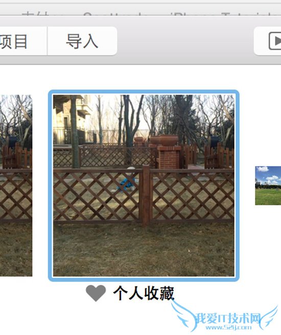 ƻMacƬӦ ˦iPhoto