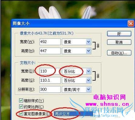 放大照片不失真小技巧