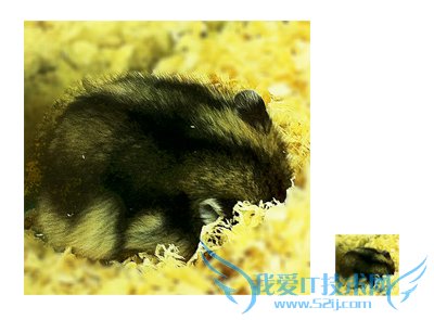 你的图片为什么会“糊” 三联