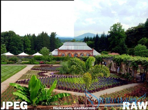 图解JPEG与RAW的选用法则 三联