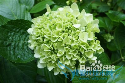 如何压缩照片 三联