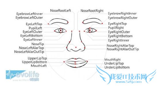 How-old.net how-old.netվ վ Ƭ